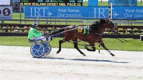 nz trotting fields results.